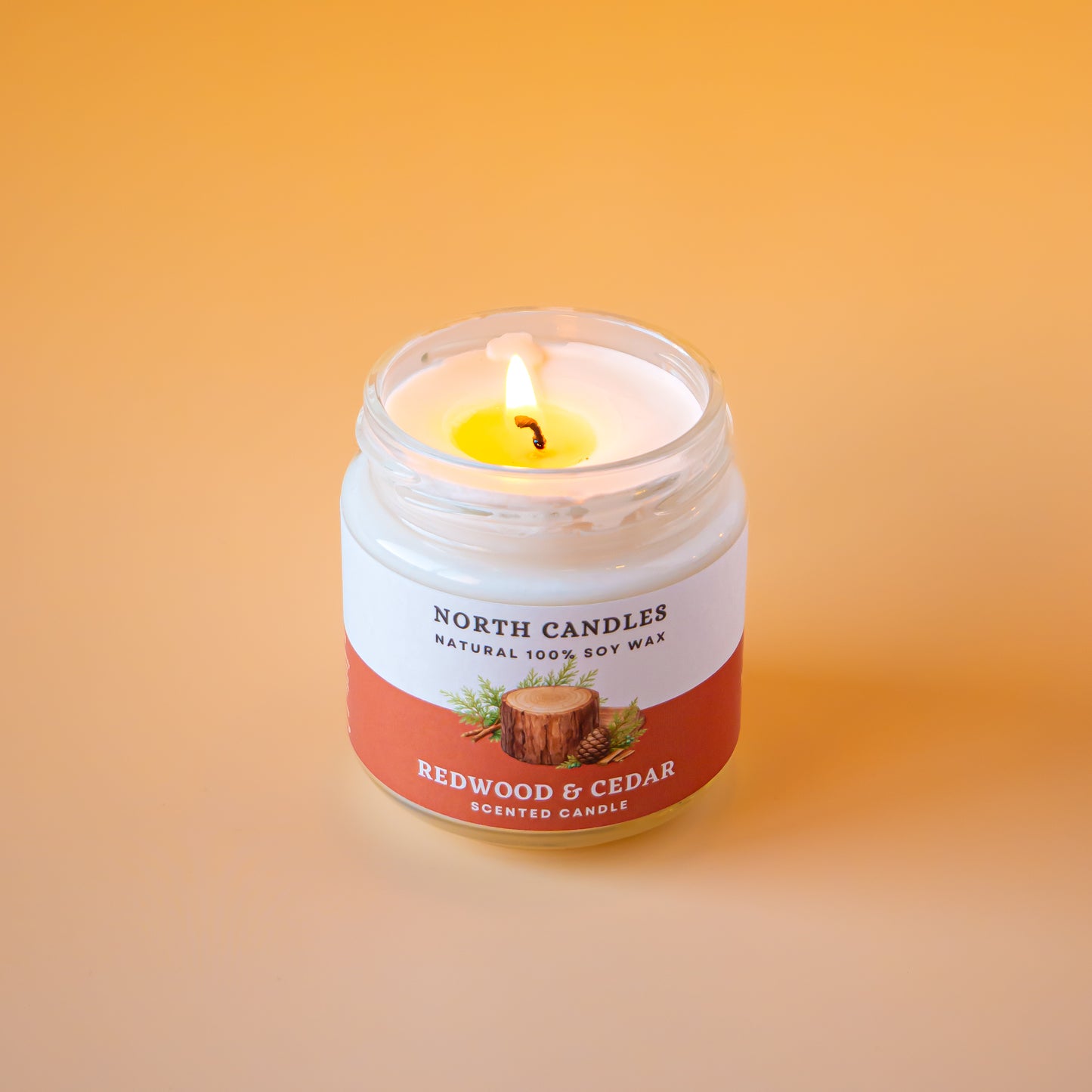 NEW-D*G 2025SS JEANS