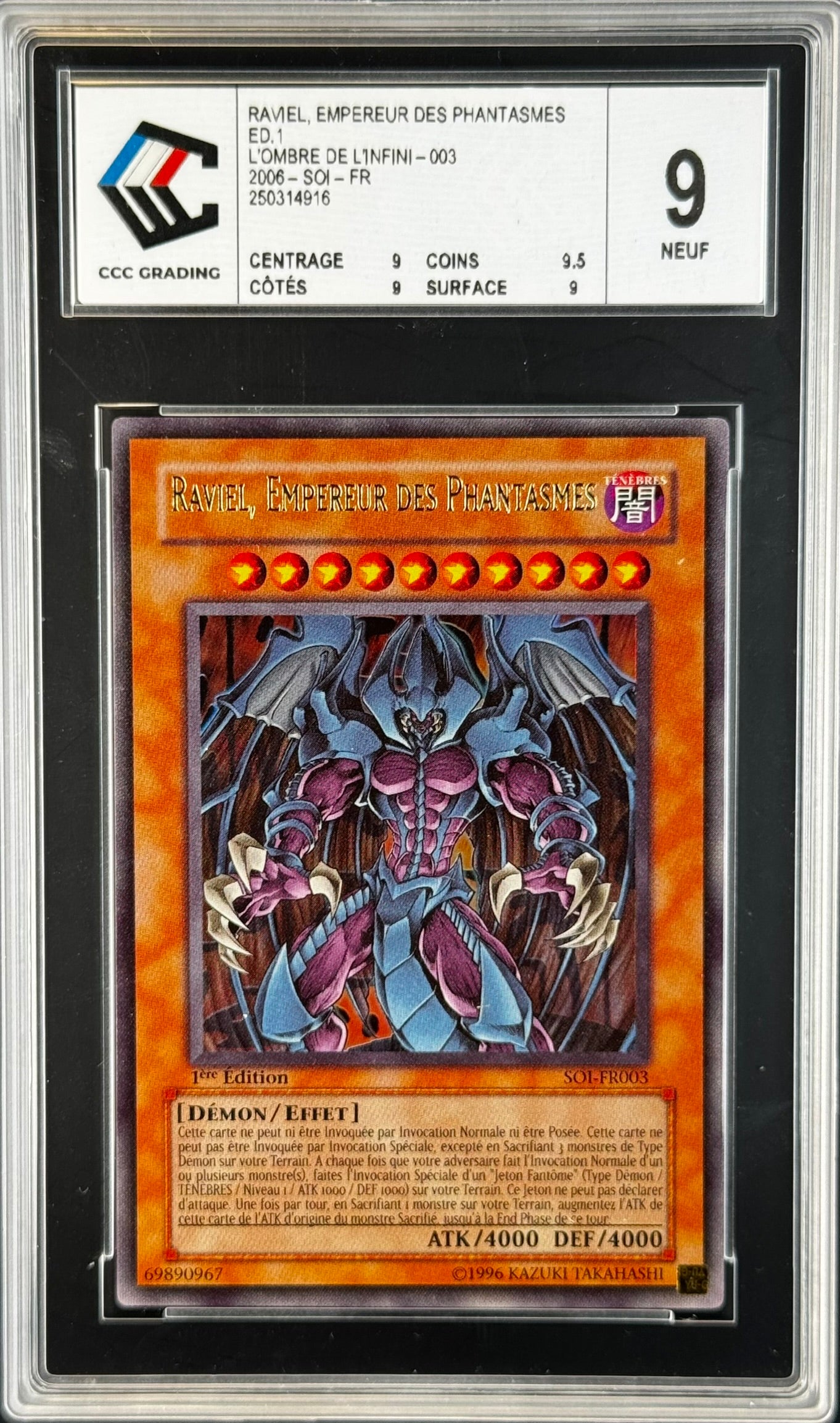 NEW-D*G 2025SS JEANS