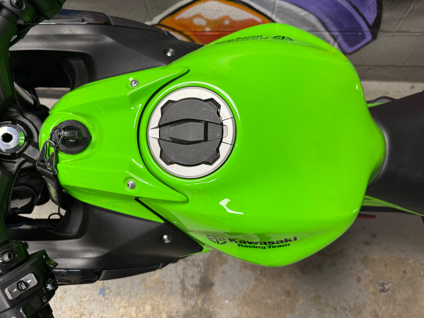 SOLA-D*G Casual shoes