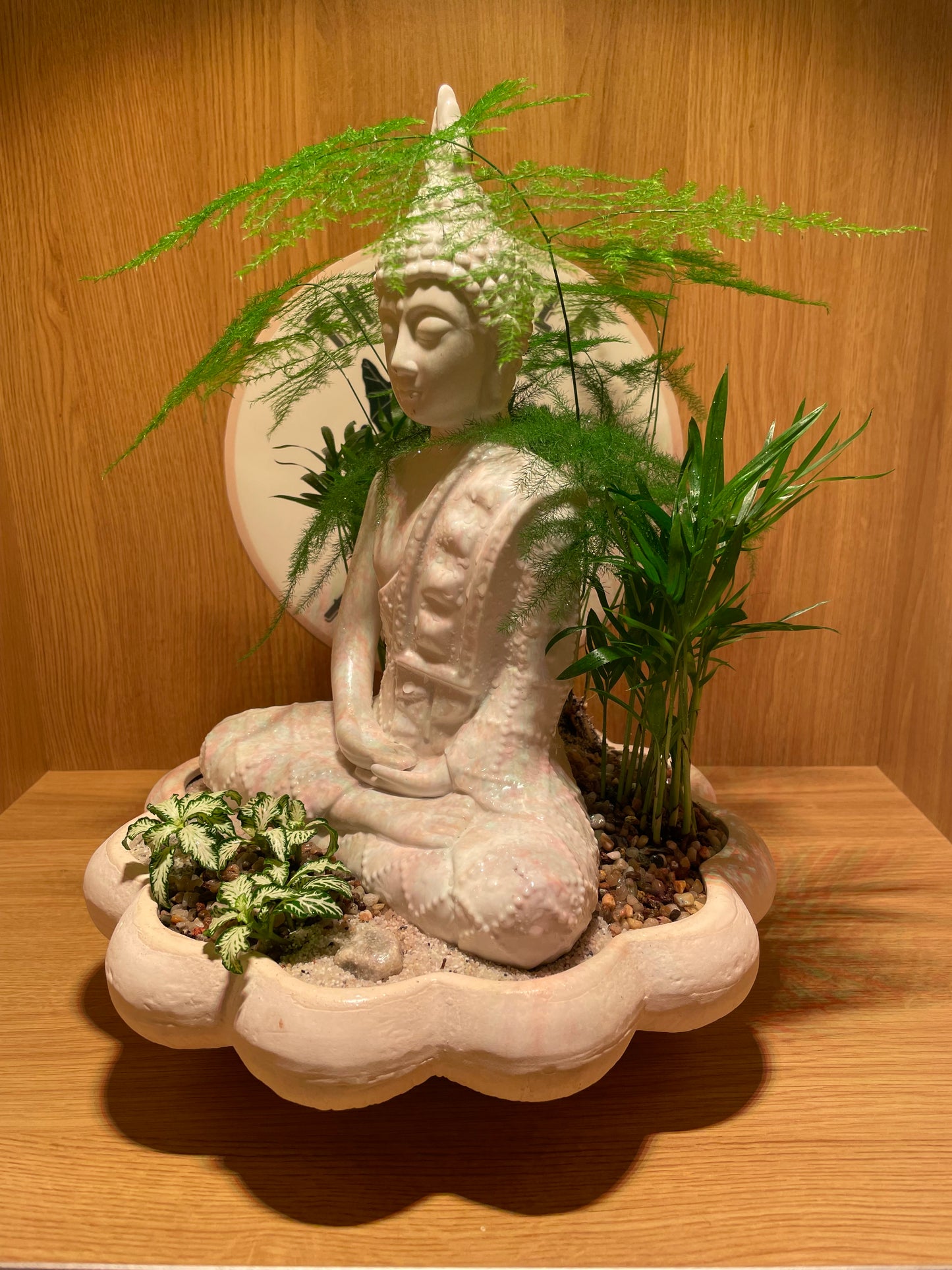 SOLA-D*G Casual shoes