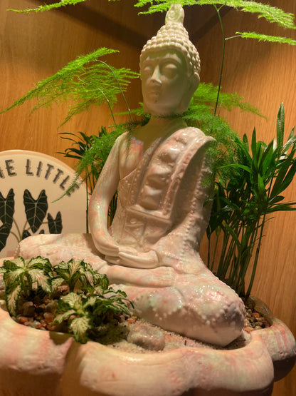 SOLA-D*G Casual shoes