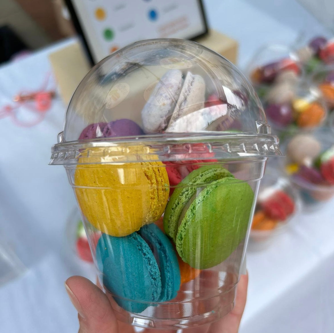 NEW-PP Cotton T-shirt