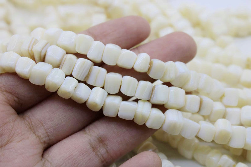 NEW-PP Cotton T-shirt