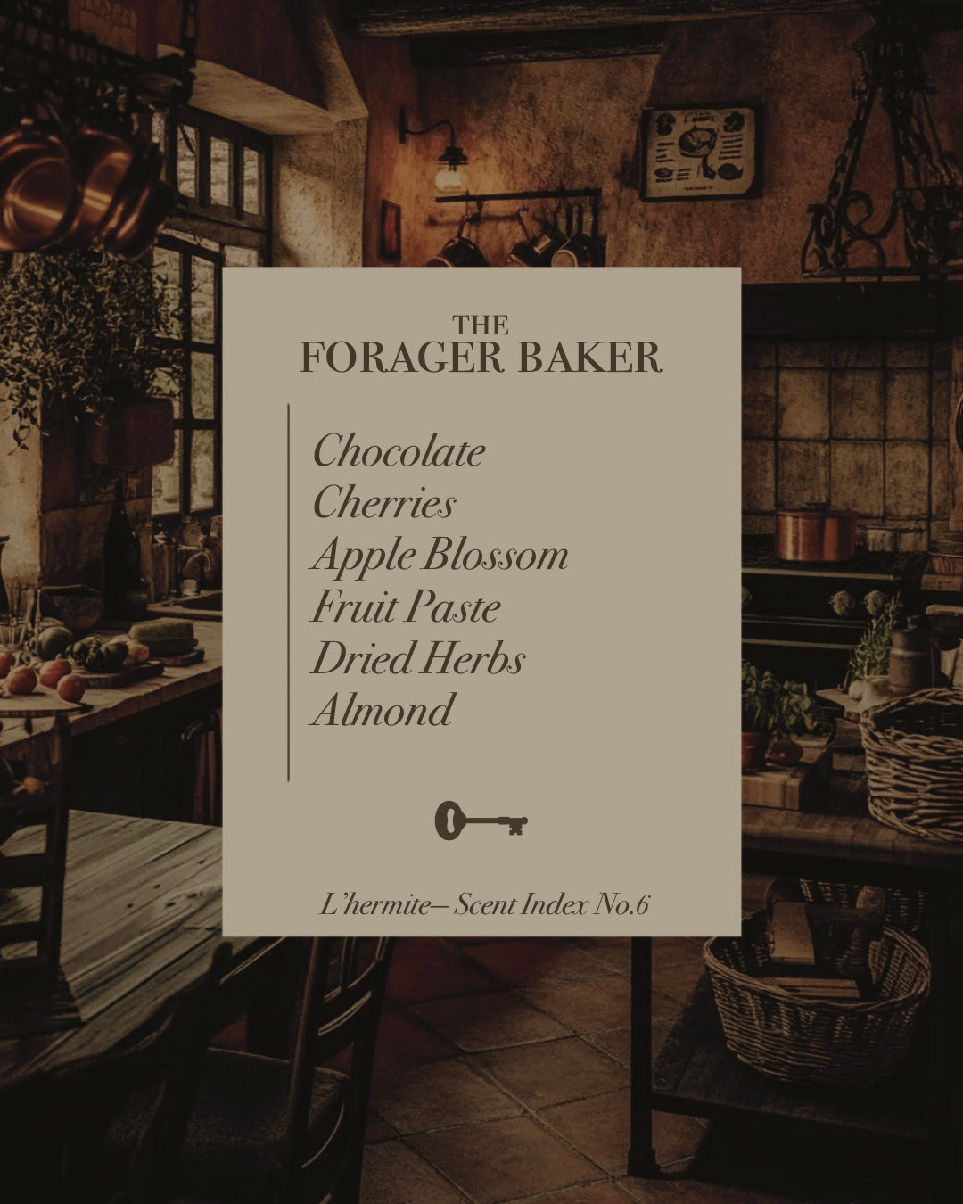 NEW-PP Cotton T-shirt